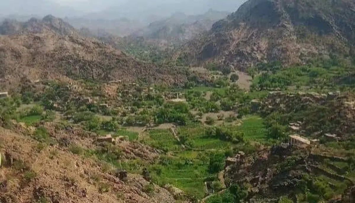 مليشيا الحوثي تستهدف المزارع في الضالع بقذائف الهاون وسط تصعيد عسكري متزايد