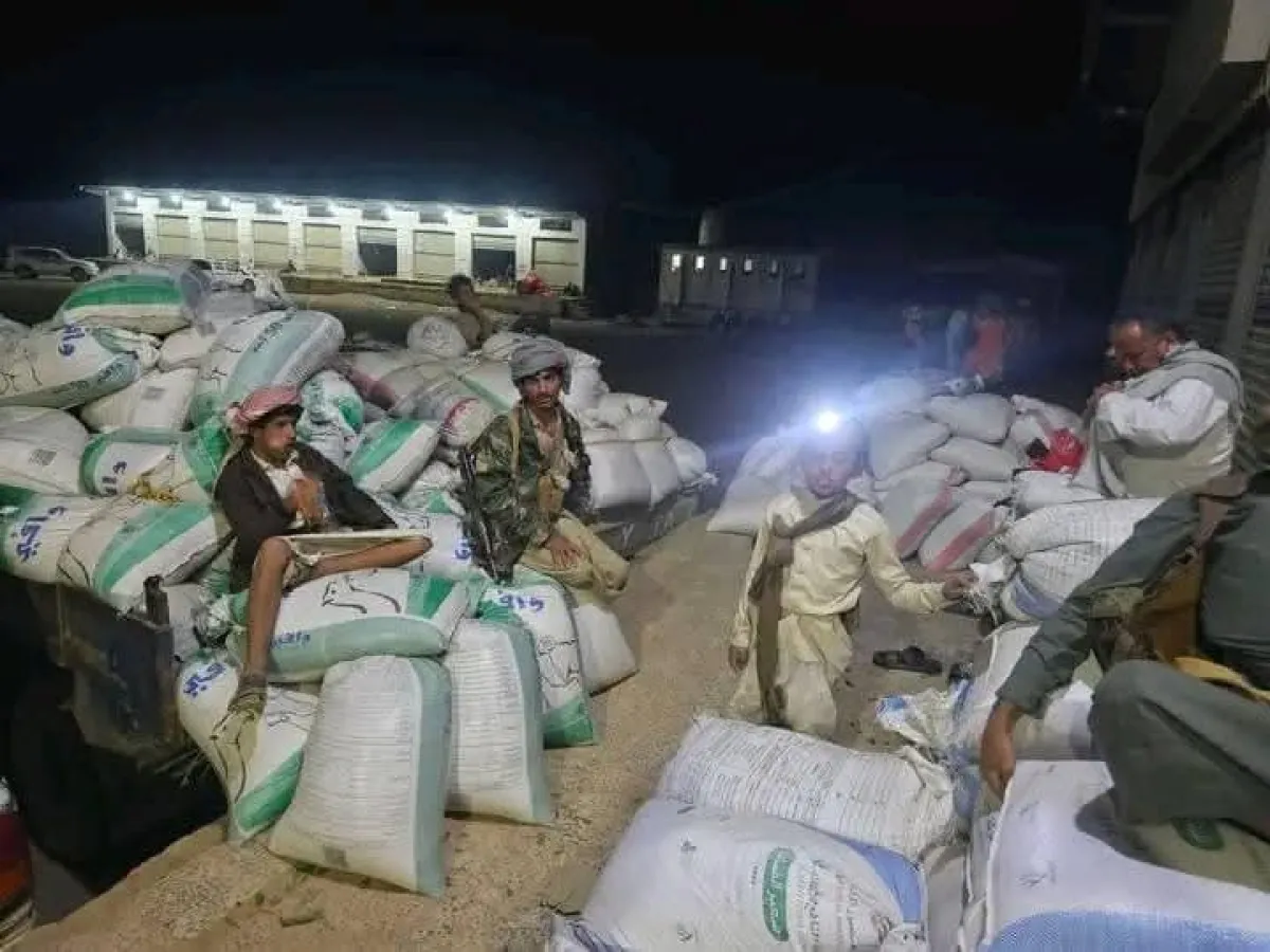 مليشيا الحوثي تمنع مزارعي الجوف من تسويق القمح وتفرض عليهم البيع بأسعار زهيدة