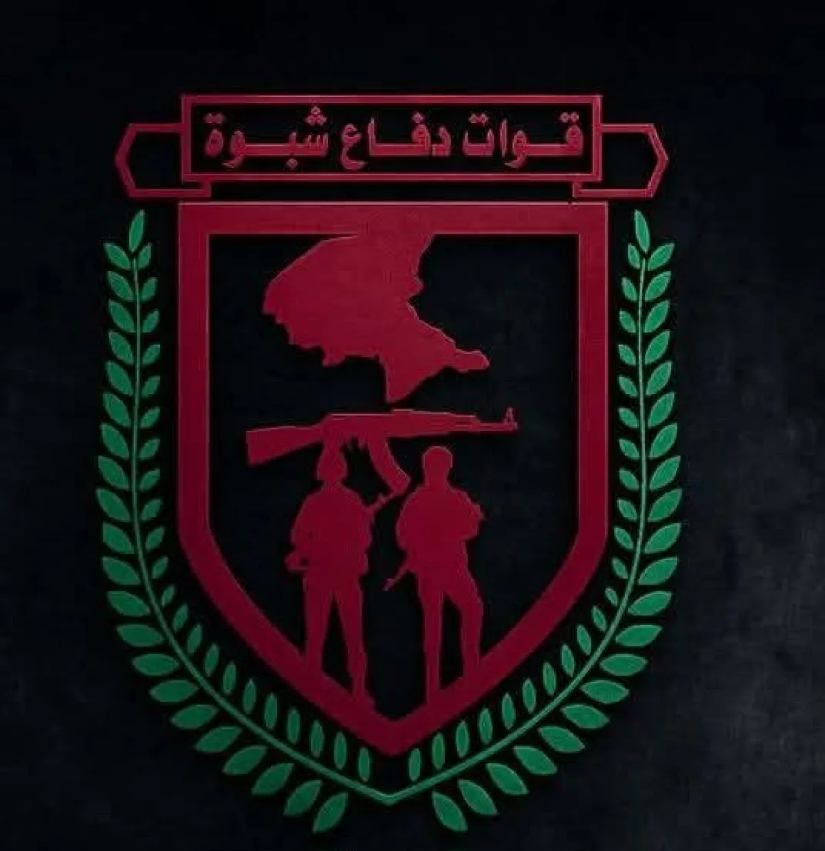 قوات دفاع شبوة تنفذ ردًا سريعًا ضد الحوثيين بعد مقتل اثنين من أفرادها