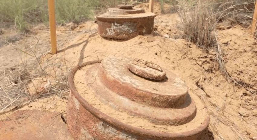 فرق مشروع مسام لنزع الألغام – اليمن تنتزع 1263 لغماً وذخيرة غير منفجرة خلال أسبوع