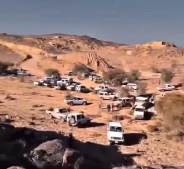 أرشيفية 