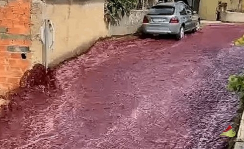 شاهد بالفيديو: نهر من النبيذ الأحمر يغمر أحد شوارع البرتغال