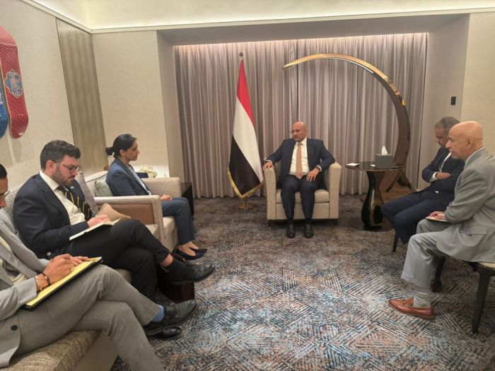 طارق صالح يبحث مع السفيرة البريطانية تعزيز التعاون الثنائي ودعم الإصلاحات الاقتصادية