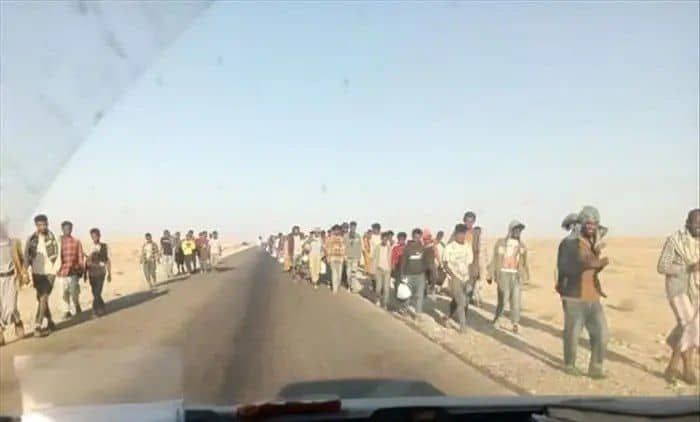 موجة هجرة جديدة تضرب سواحل شبوة مع ارتفاع قياسي في أعداد المهاجرين الأفارقة 