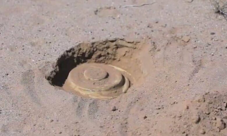 أرشيفية 