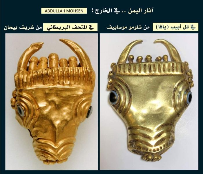 محسن يحذر من تدخل غير المختصين في ضبط تهريب الآثار
