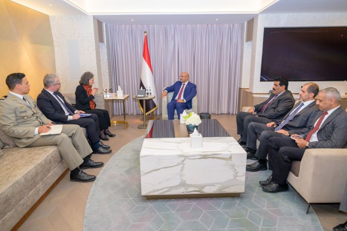 طارق صالح يبحث مع السفيرة الفرنسية تطورات الوضع اليمني وتعزيز الشراكة الثنائية