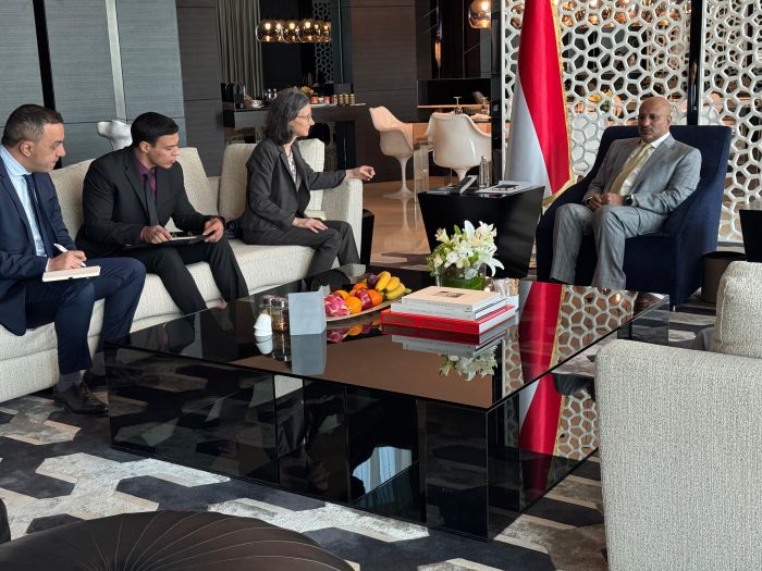 طارق صالح يستقبل سفيرة فرنسا ويبحث تعزيز التعاون الثنائي بين البلدين