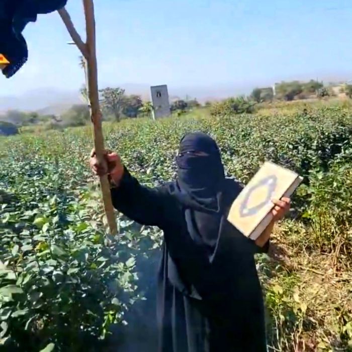 امرأة تحرق خمارها احتجاجًا على اعتداء الحوثيين على أرضها ومنزلها في إب