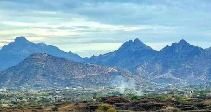 الوازعية.. قبيلة العلقمة تدين جريمة التقطع وتطالب بضبط الجناة فوراً