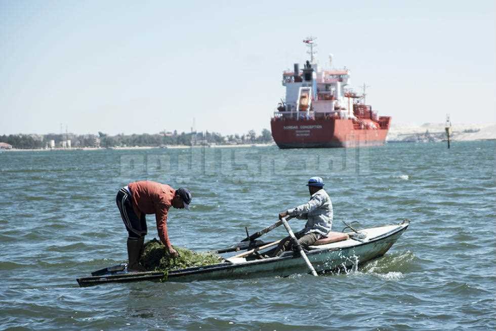 تحذيرات.. الصيد الجائر قبالة سواحل اليمن يهدد بكارثة بيئية