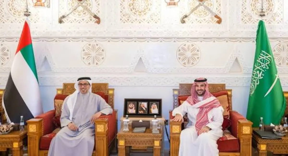 خالد بن سلمان ومنصور بن زايد يبحثان تعزيز التعاون السعودي الإماراتي